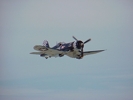 F4U Corsair in flight