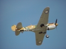 P-40 Warhawk in flight