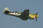 P-40 Warhawk right side