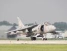 Harrier taking off